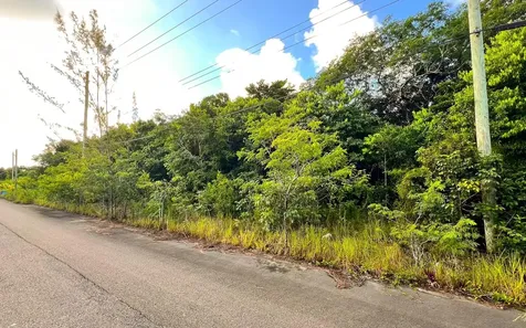 Lot 27d, Love Estates Sub New Providence Paradise Island BS