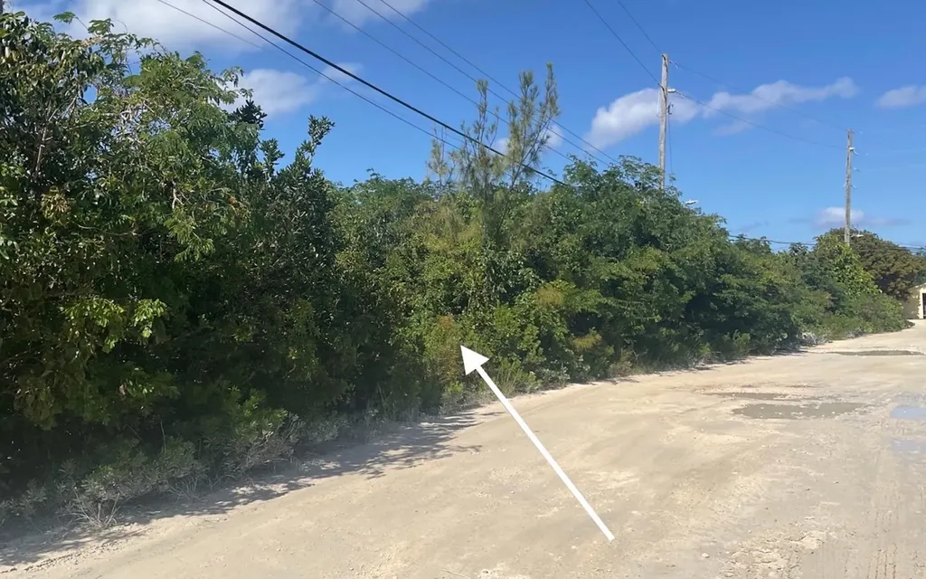 Lot 1, Hamilton's Subd. Long Island BS