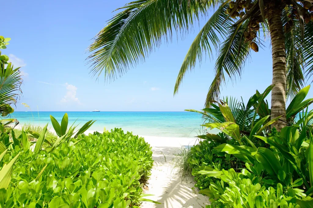 West Bay Street 962 New Providence Paradise Island BS