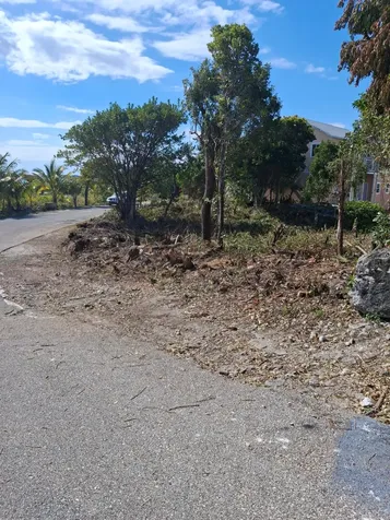 Sunrise Bay Subdivision 21 Abaco BS