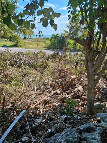 Sunrise Bay Subdivision 21 Abaco BS