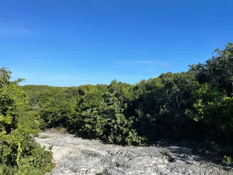 Eleuthera Island Shores Eleuthera BS