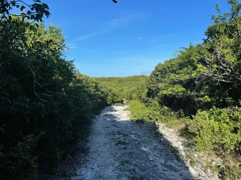 Eleuthera Island Shores Eleuthera BS