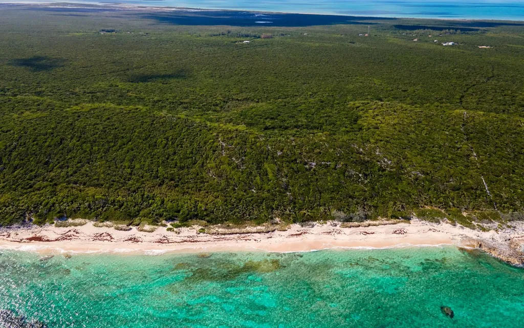 250 Acre Tract, Grays Long Island BS