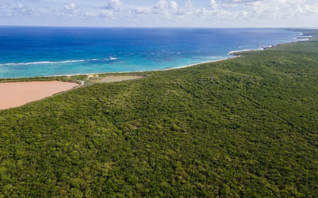250 Acre Tract, Grays Long Island BS