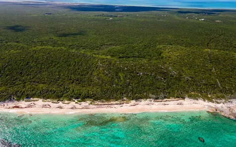 250 Acre Tract, Grays Long Island BS