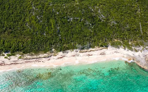 250 Acre Tract, Grays Long Island BS