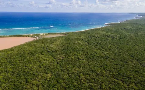 250 Acre Tract, Grays Long Island BS