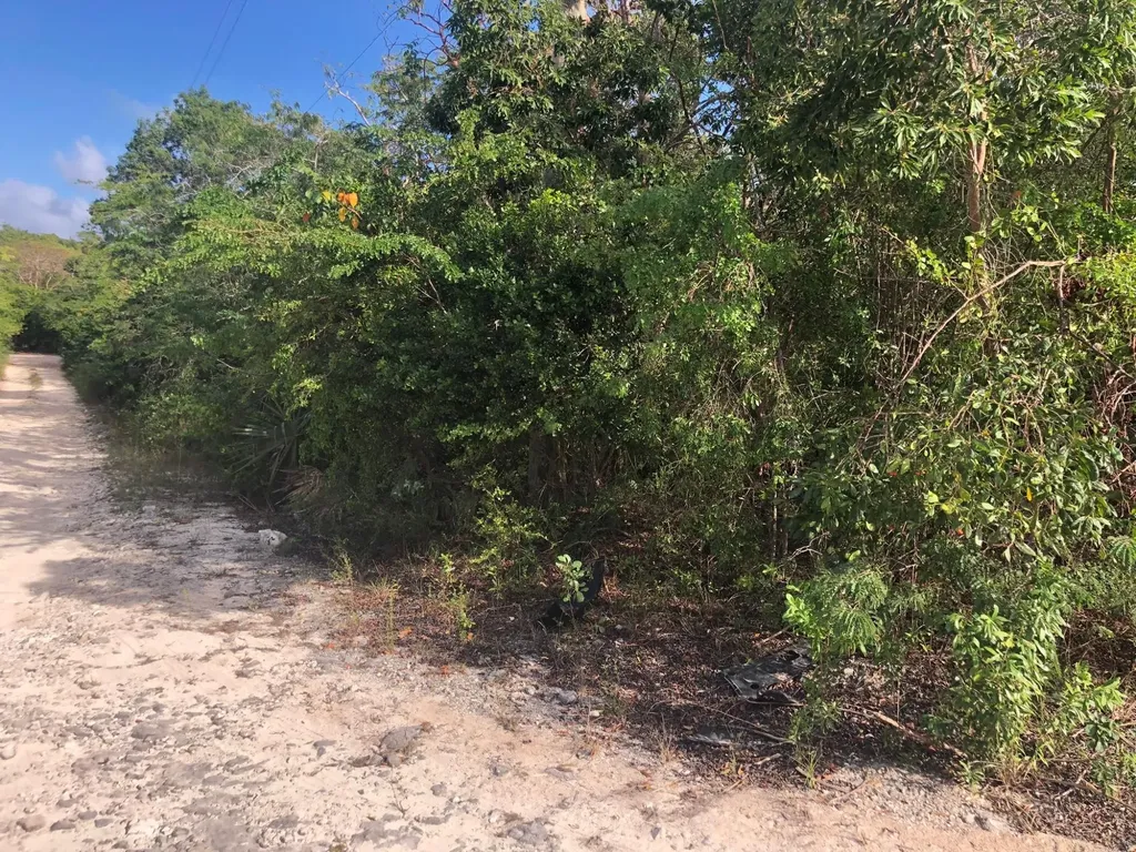 Flower Lane Exuma BS