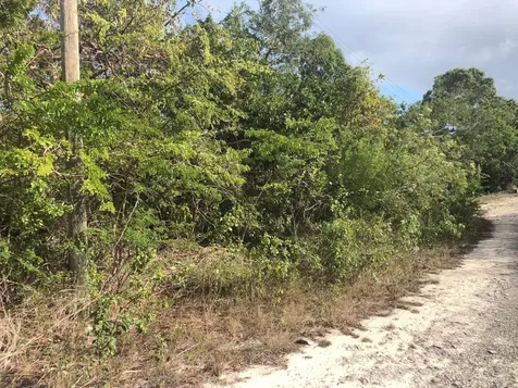 Flower Lane Exuma BS