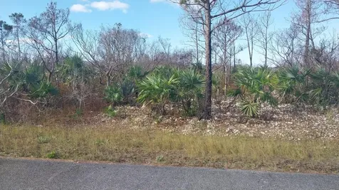 Bronze Drive 4 Grand Bahama Freeport BS