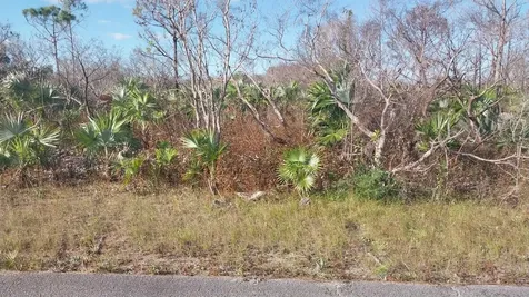 Bronze Drive 4 Grand Bahama Freeport BS