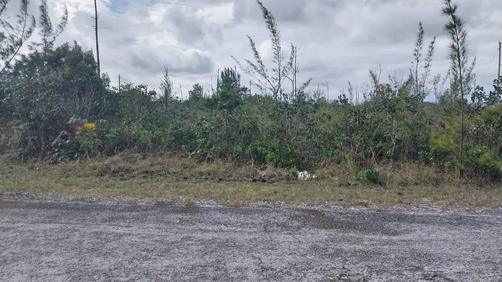 Heybridge Drive 1 Grand Bahama Freeport BS