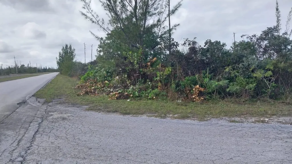 Heybridge Drive 1 Grand Bahama Freeport BS