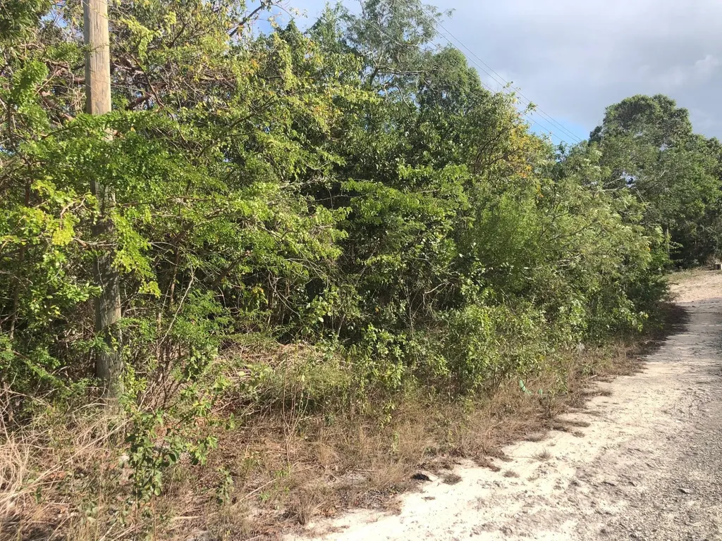 Flower Lane Exuma BS