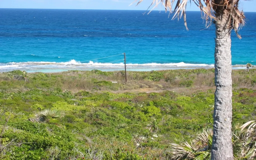 Lot 10 Phase 2 Section 2 Long Island BS