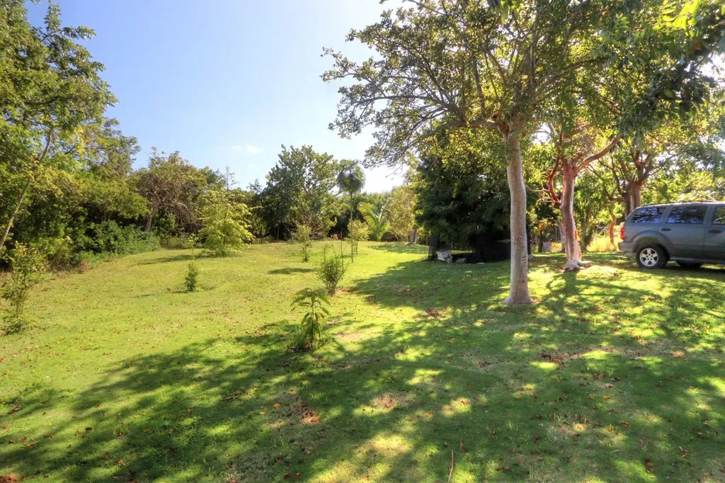 Yellowwood Homestead Abaco BS