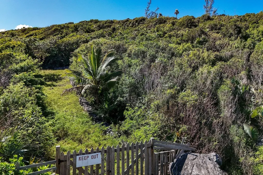 Sissel Juliano Acreage Eleuthera BS