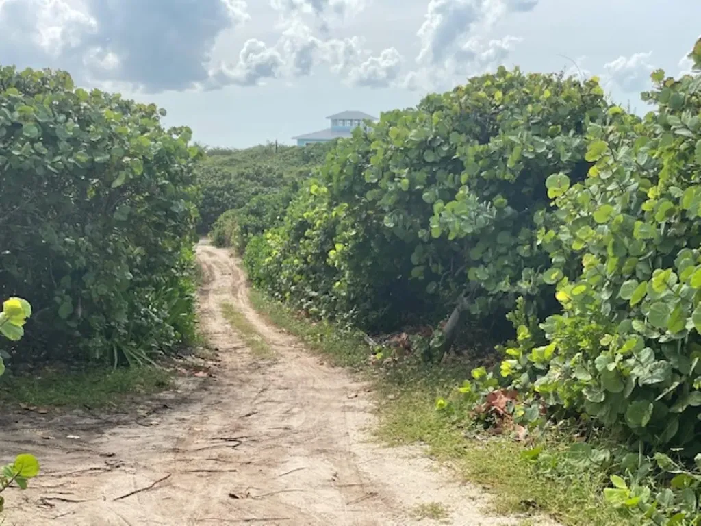 Pura Vida House Dolphin Abaco BS