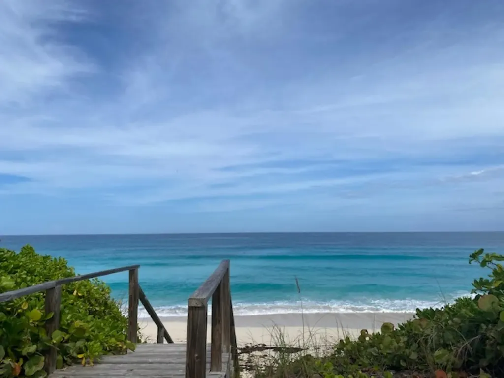 Pura Vida House Dolphin Abaco BS