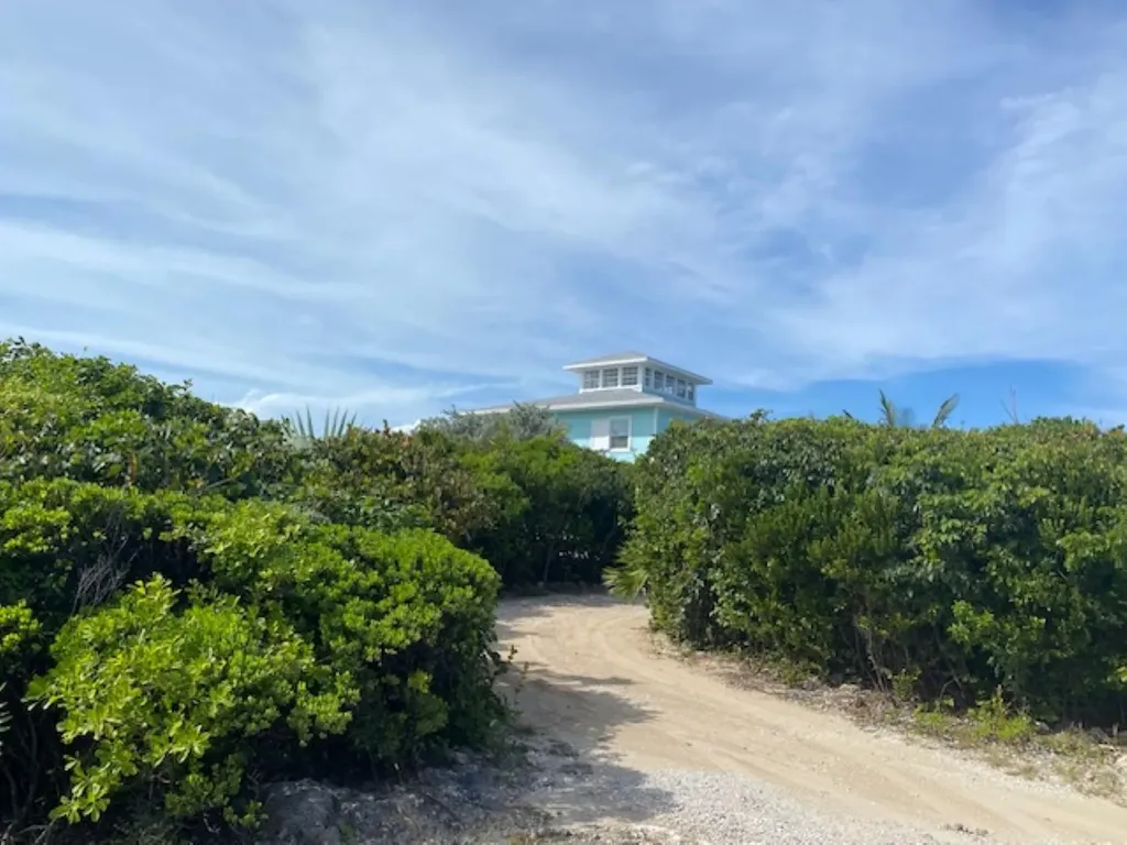 Pura Vida House Dolphin Abaco BS