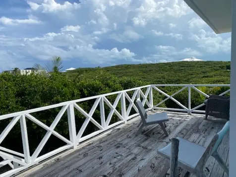 Pura Vida House Dolphin Abaco BS