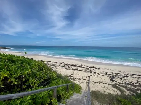 Pura Vida House Dolphin Abaco BS