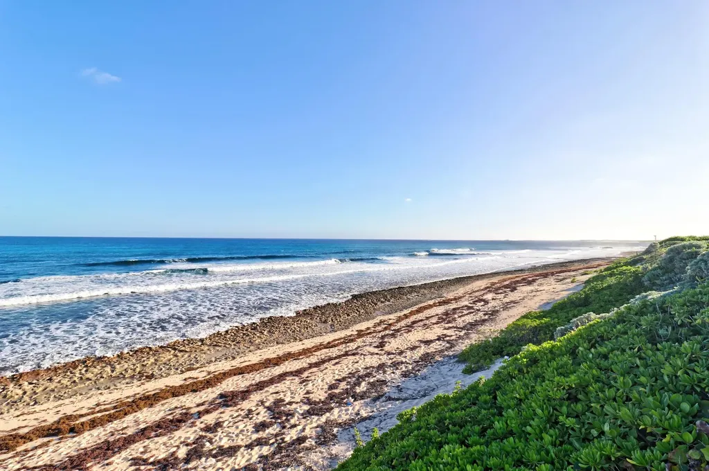 Peace & Rice Abaco BS