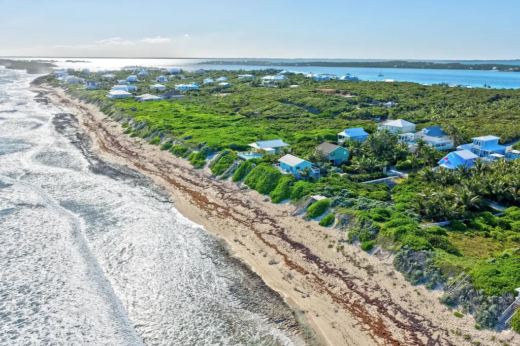 Peace & Rice Abaco BS