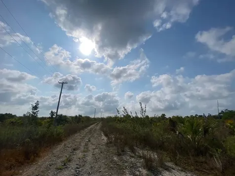 Grand Bahama East Sub Lt598 Bk B Grand Bahama Freeport BS