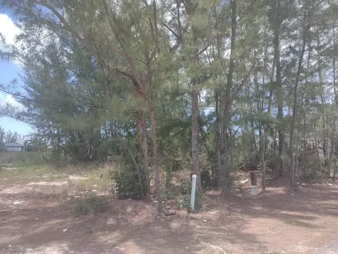 Yuma Estates New Providence Paradise Island BS