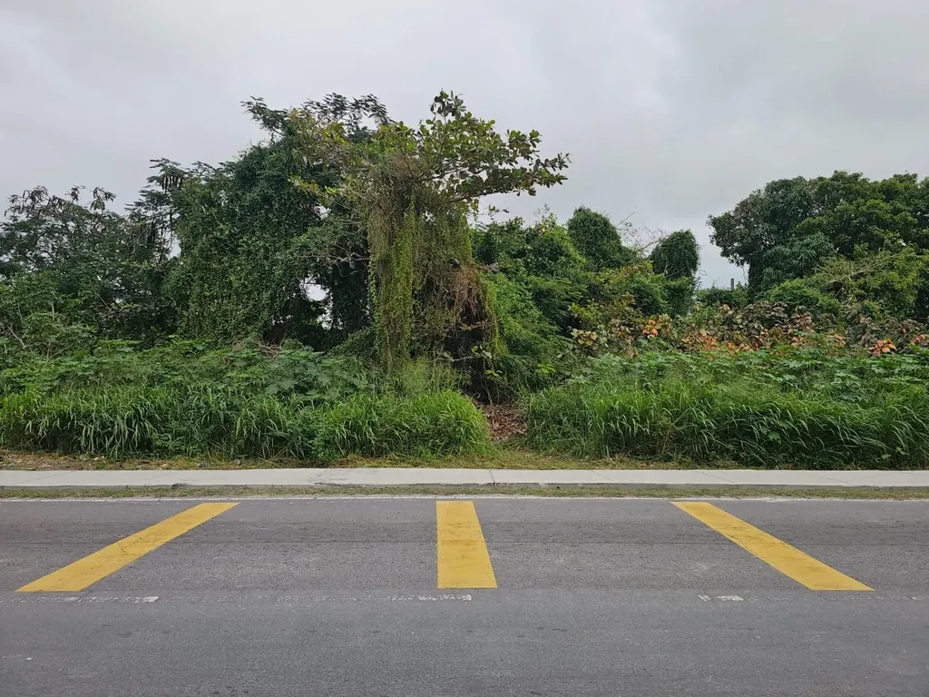 Bacardi Road New Providence Paradise Island BS