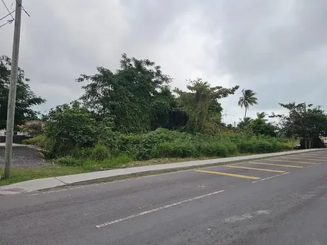 Bacardi Road New Providence Paradise Island BS