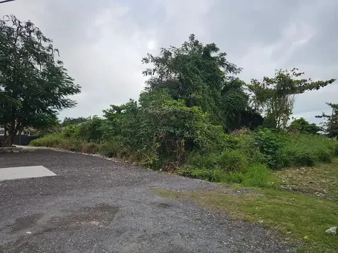 Bacardi Road New Providence Paradise Island BS