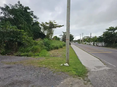 Bacardi Road New Providence Paradise Island BS