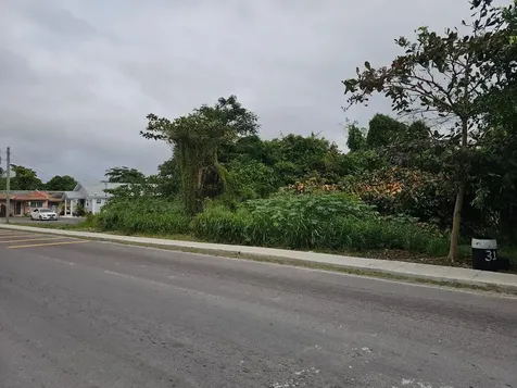 Bacardi Road New Providence Paradise Island BS