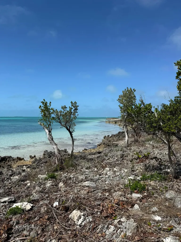 The Sanctuary Lot 4c Abaco BS