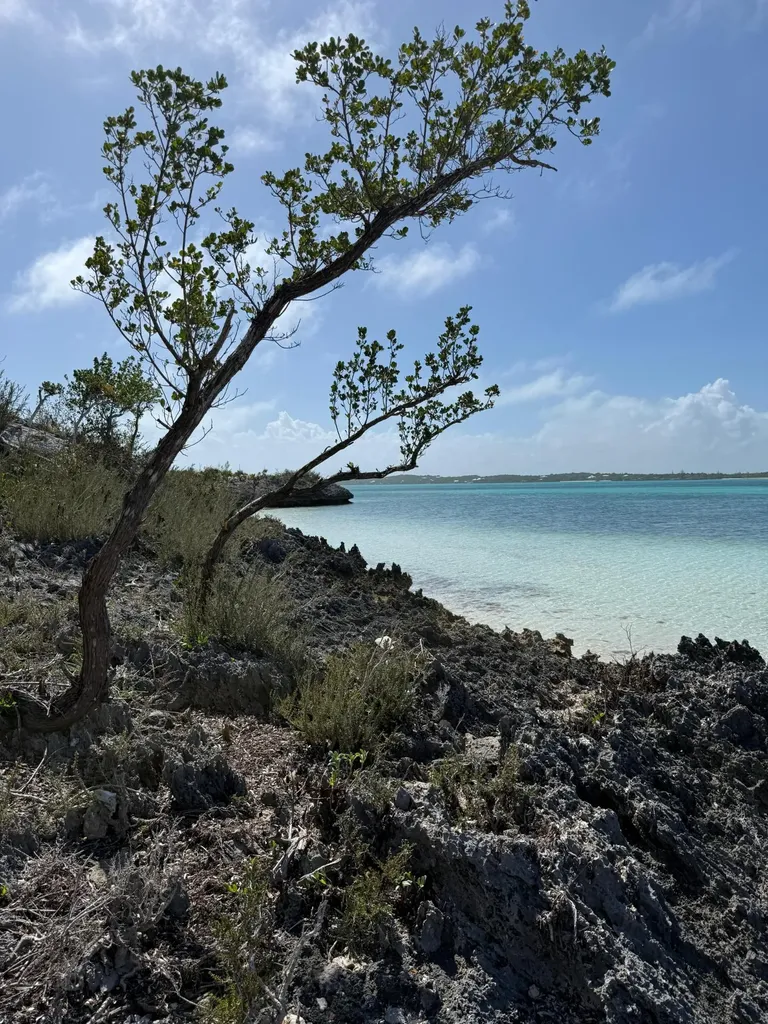 The Sanctuary Lot 4c Abaco BS