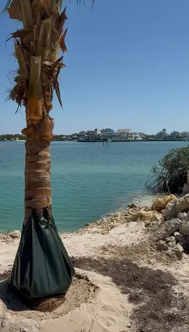 The Sanctuary Lot 2c Abaco BS
