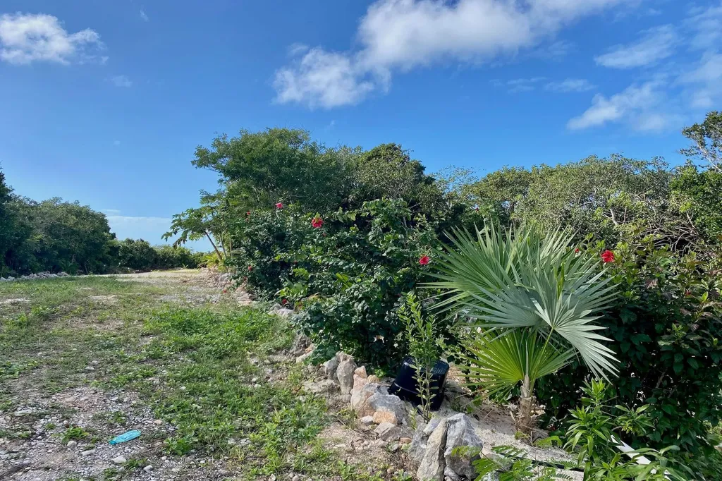 Lot 5b Clifftop Estate Eleuthera BS