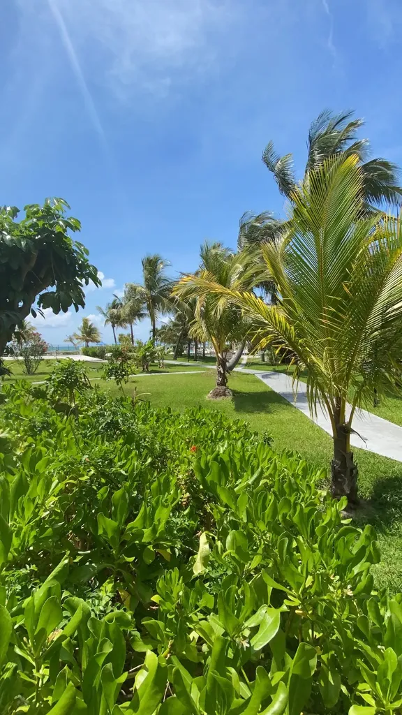 Coral Road Grand Bahama Freeport BS