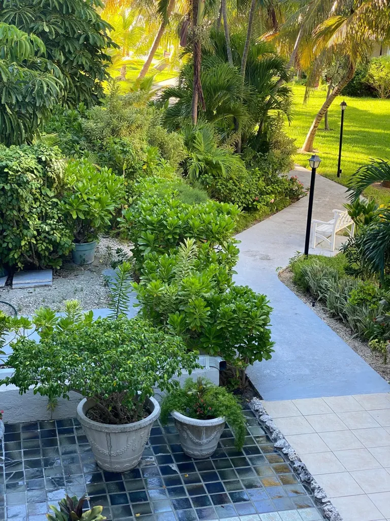 Coral Road Grand Bahama Freeport BS