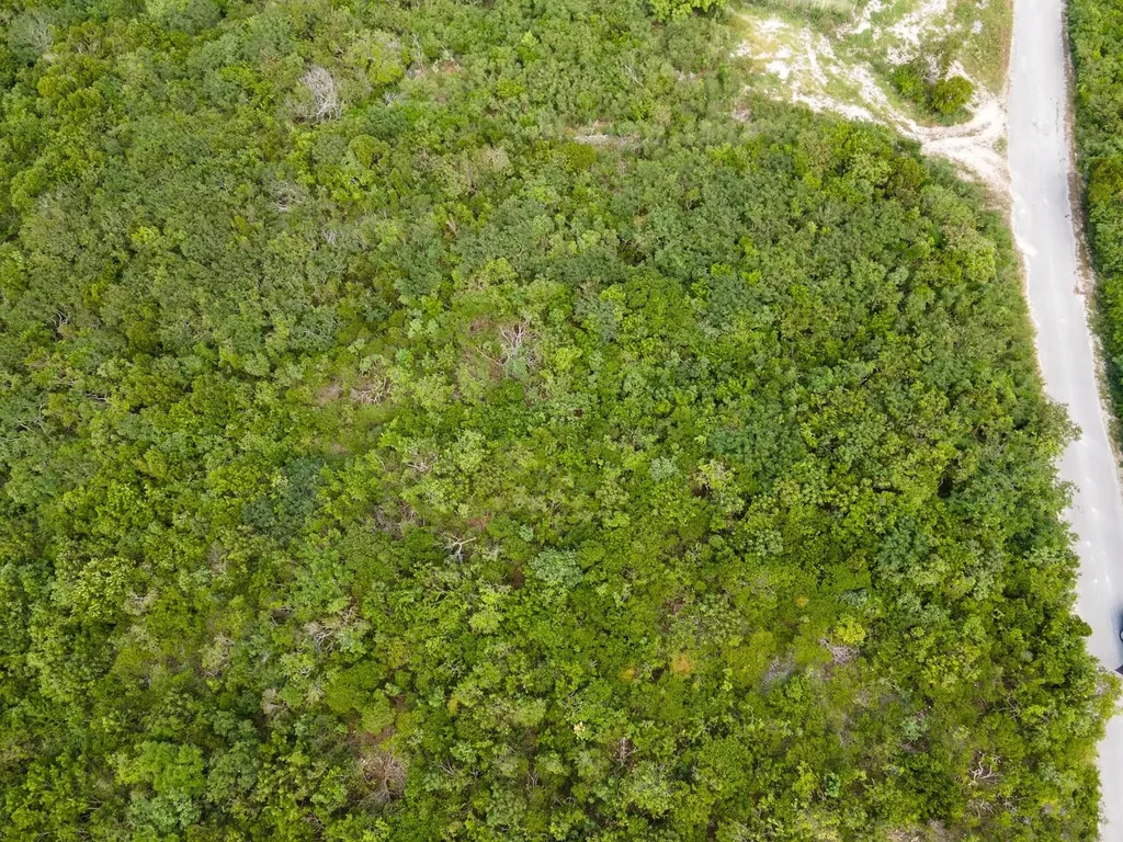 Scrub Hill Long Island BS