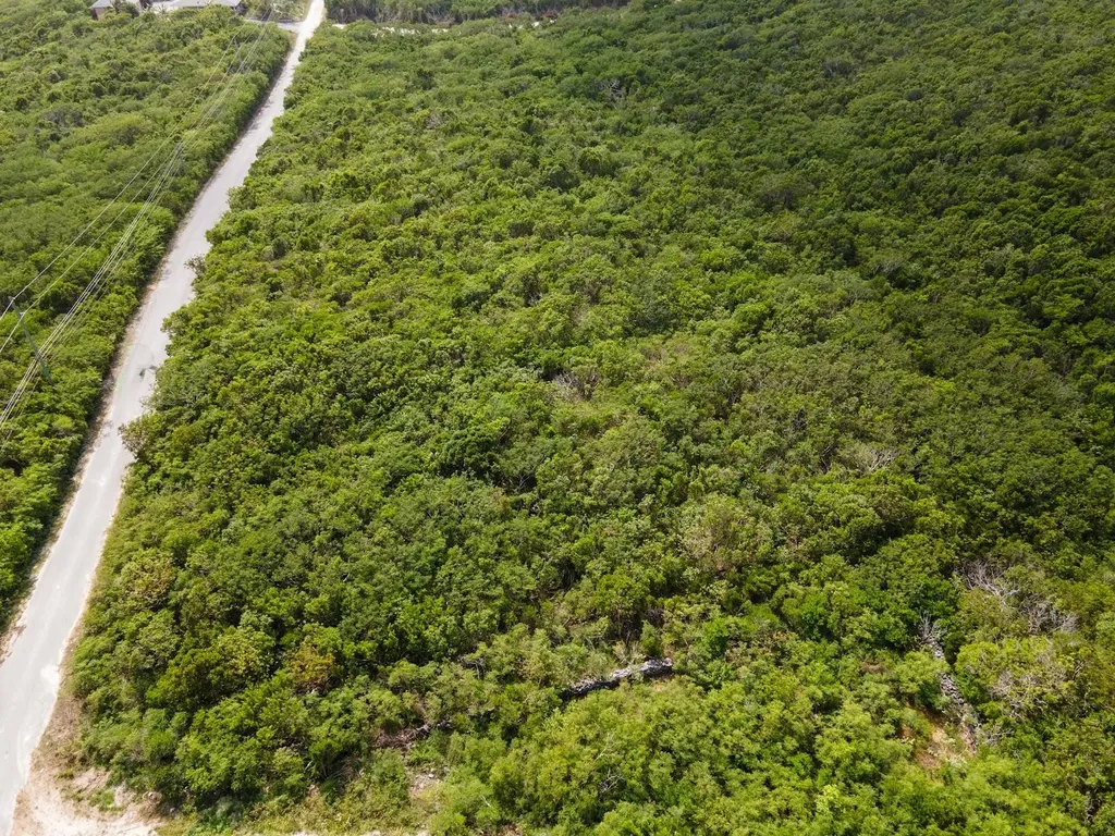 Scrub Hill Long Island BS