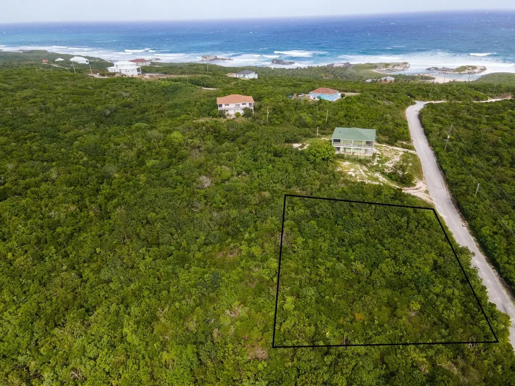 Scrub Hill Long Island BS