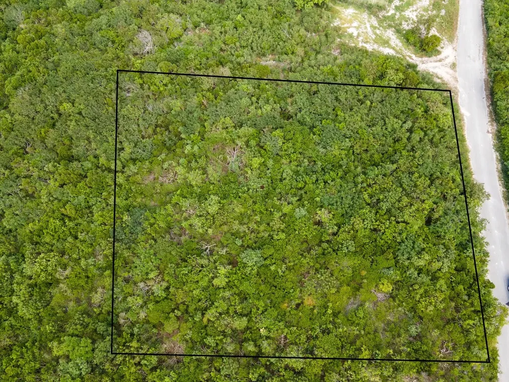 Scrub Hill Long Island BS