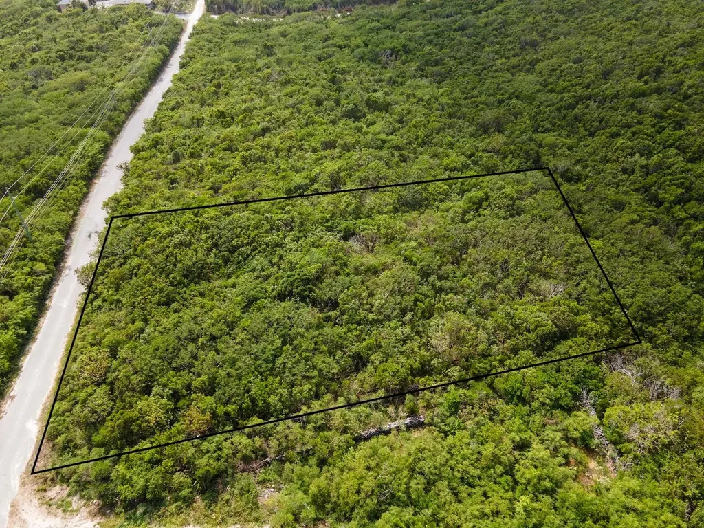 Scrub Hill Long Island BS