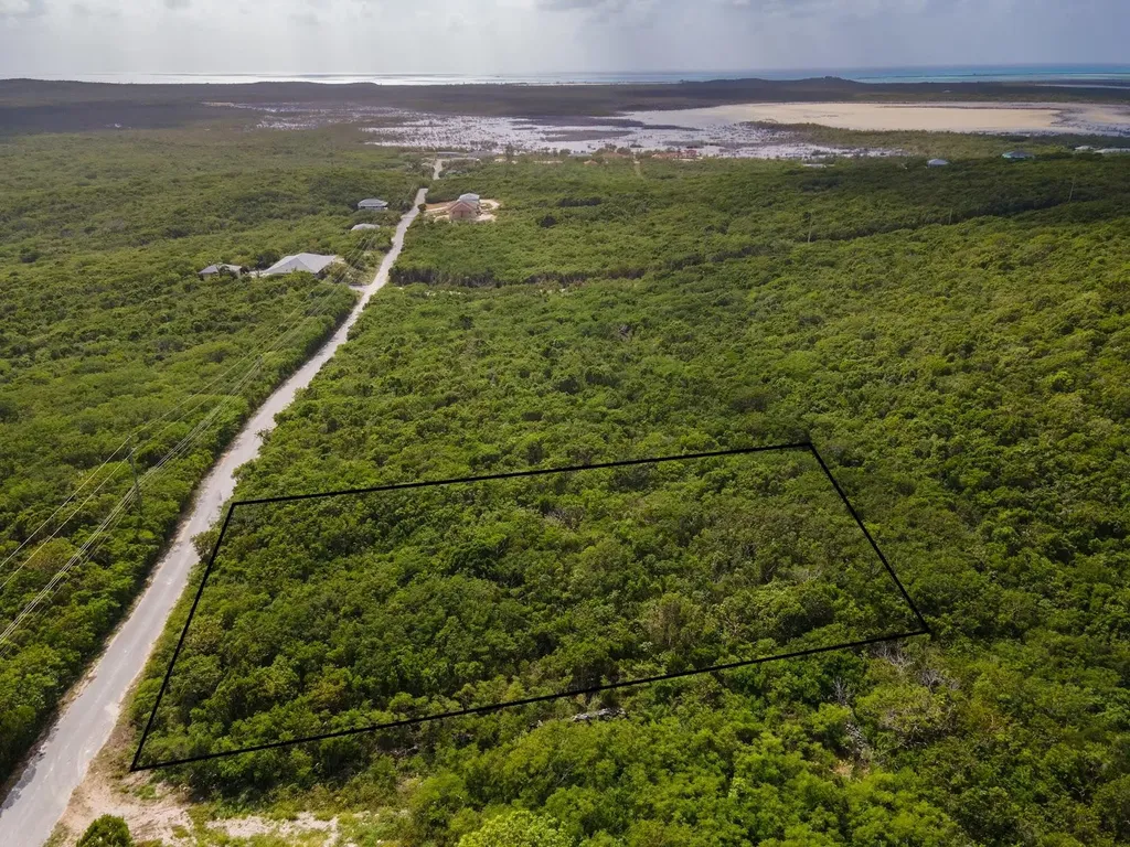 Scrub Hill Long Island BS