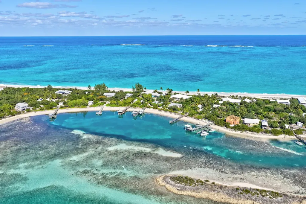 Berry Patch Abaco BS