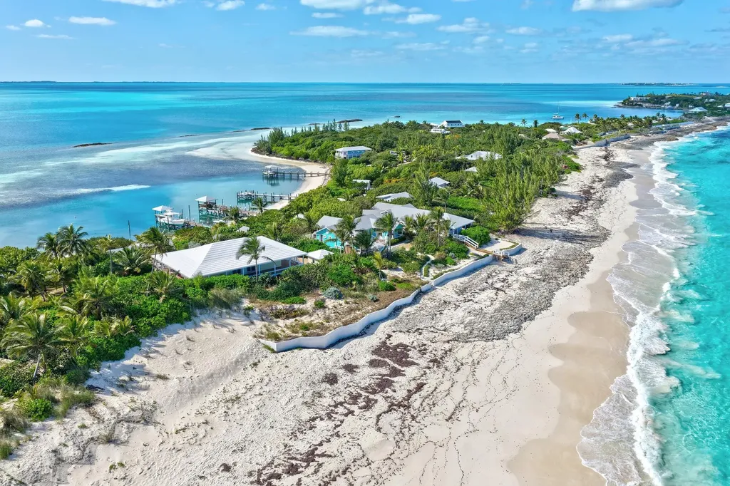 Berry Patch Abaco BS